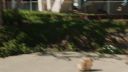 The_Rookie_-_S01E01_28486229.jpg
