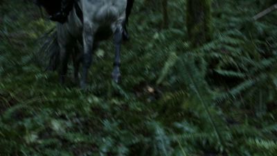 Once_Upon_A_Time_-_S01E01_2815929.jpg