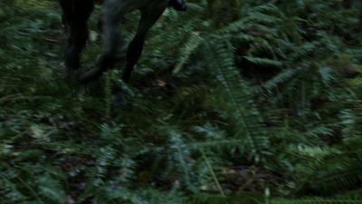 Once_Upon_A_Time_-_S01E01_2816029.jpg