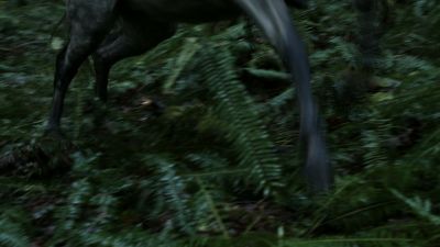 Once_Upon_A_Time_-_S01E01_2816129.jpg