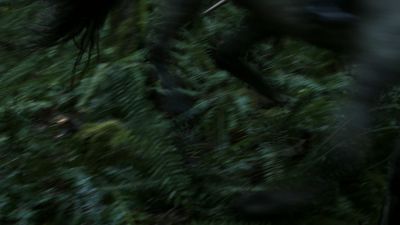 Once_Upon_A_Time_-_S01E01_2816229.jpg