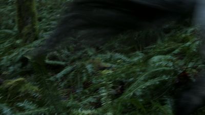 Once_Upon_A_Time_-_S01E01_2816329.jpg
