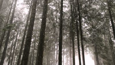 Once_Upon_A_Time_-_S01E01_2816429.jpg