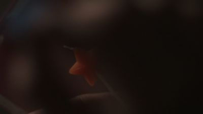 Once_Upon_A_Time_-_S01E01_28164529.jpg