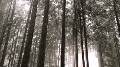 Once_Upon_A_Time_-_S01E01_2816529.jpg