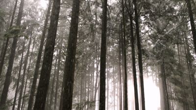 Once_Upon_A_Time_-_S01E01_2816629.jpg