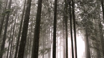 Once_Upon_A_Time_-_S01E01_2816729.jpg