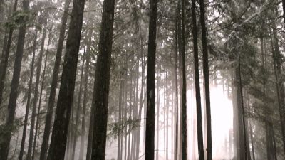Once_Upon_A_Time_-_S01E01_2816829.jpg