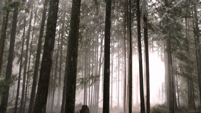 Once_Upon_A_Time_-_S01E01_2816929.jpg