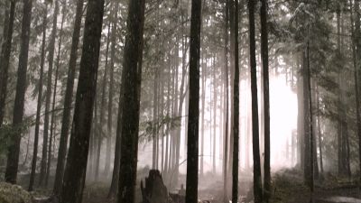 Once_Upon_A_Time_-_S01E01_2817029.jpg
