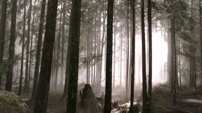 Once_Upon_A_Time_-_S01E01_2817129.jpg