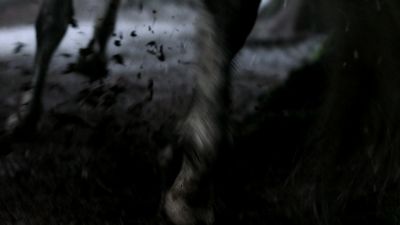 Once_Upon_A_Time_-_S01E01_2817229.jpg