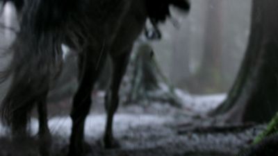 Once_Upon_A_Time_-_S01E01_2817429.jpg