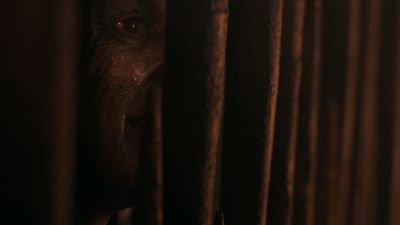 Once_Upon_A_Time_-_S01E01_28279929.jpg