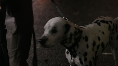 Once_Upon_A_Time_-_S01E01_28357629.jpg