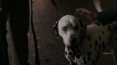 Once_Upon_A_Time_-_S01E01_28357729.jpg