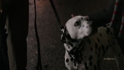 Once_Upon_A_Time_-_S01E01_28357829.jpg