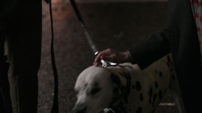 Once_Upon_A_Time_-_S01E01_28357929.jpg