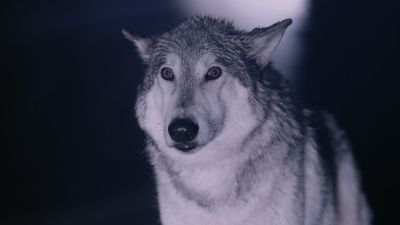Once_Upon_A_Time_-_S01E01_28488329.jpg