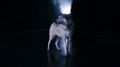 Once_Upon_A_Time_-_S01E01_28490429.jpg