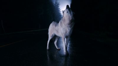 Once_Upon_A_Time_-_S01E01_28490729.jpg