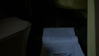Once_Upon_A_Time_-_S01E01_28493429.jpg