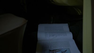 Once_Upon_A_Time_-_S01E01_28493529.jpg