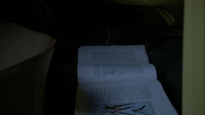 Once_Upon_A_Time_-_S01E01_28493629.jpg