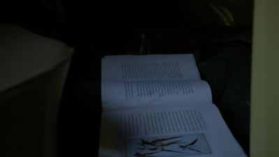 Once_Upon_A_Time_-_S01E01_28493729.jpg