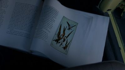 Once_Upon_A_Time_-_S01E01_28494029.jpg