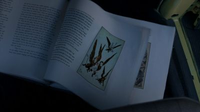 Once_Upon_A_Time_-_S01E01_28494129.jpg