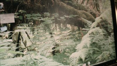 Once_Upon_A_Time_-_S01E01_28565929.jpg
