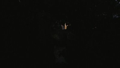 Once_Upon_A_Time_-_S01E01_28864429.jpg