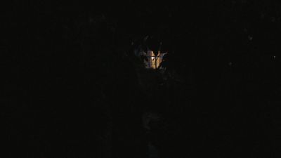Once_Upon_A_Time_-_S01E01_28864529.jpg