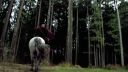 Filename=Once_Upon_A_Time_-_S01E01_2814529.jpg
Filesize=354KiB
Dimensions=1920x1080
Date added=Oct 03, 2025 Once_Upon_A_Time_-_S01E01_2814529.jpg