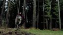 Filename=Once_Upon_A_Time_-_S01E01_2814629.jpg
Filesize=470KiB
Dimensions=1920x1080
Date added=Oct 03, 2025 Once_Upon_A_Time_-_S01E01_2814629.jpg