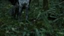 Filename=Once_Upon_A_Time_-_S01E01_2815929.jpg
Filesize=297KiB
Dimensions=1920x1080
Date added=Oct 03, 2025 Once_Upon_A_Time_-_S01E01_2815929.jpg