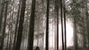 Filename=Once_Upon_A_Time_-_S01E01_2816929.jpg
Filesize=527KiB
Dimensions=1920x1080
Date added=Oct 03, 2025 Once_Upon_A_Time_-_S01E01_2816929.jpg