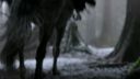 Filename=Once_Upon_A_Time_-_S01E01_2817429.jpg
Filesize=227KiB
Dimensions=1920x1080
Date added=Oct 03, 2025 Once_Upon_A_Time_-_S01E01_2817429.jpg