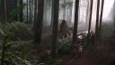 Once_Upon_A_Time_-_S01E01_2832529.jpg