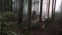 Once_Upon_A_Time_-_S01E01_2832629.jpg