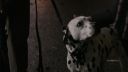Once_Upon_A_Time_-_S01E01_28357829.jpg