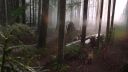 Once_Upon_A_Time_-_S01E01_2836229.jpg
