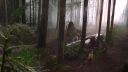 Once_Upon_A_Time_-_S01E01_2836429.jpg
