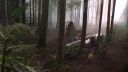 Once_Upon_A_Time_-_S01E01_2836529.jpg