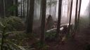 Once_Upon_A_Time_-_S01E01_2836629.jpg