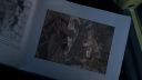 Once_Upon_A_Time_-_S01E01_28495929.jpg