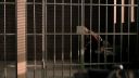 Once_Upon_A_Time_-_S01E01_28537329.jpg