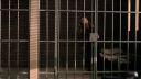 Once_Upon_A_Time_-_S01E01_28537729.jpg