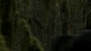 Once_Upon_A_Time_-_S01E01_28637629.jpg